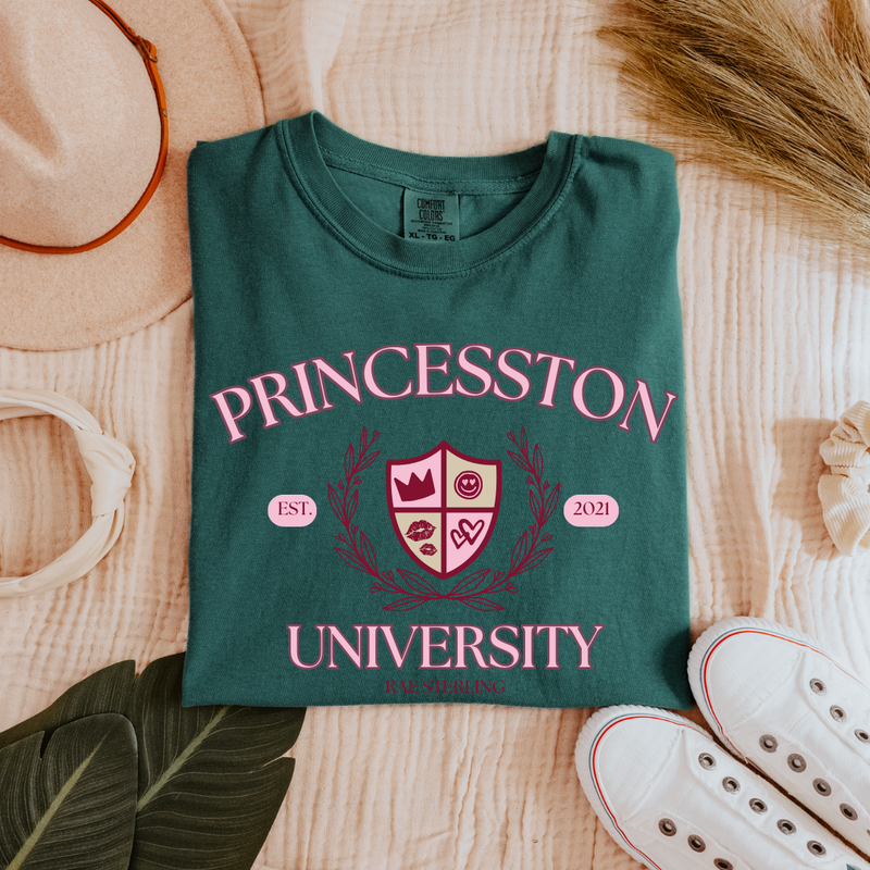 Princesston University