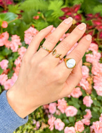 Proverbs 13:12 Ring