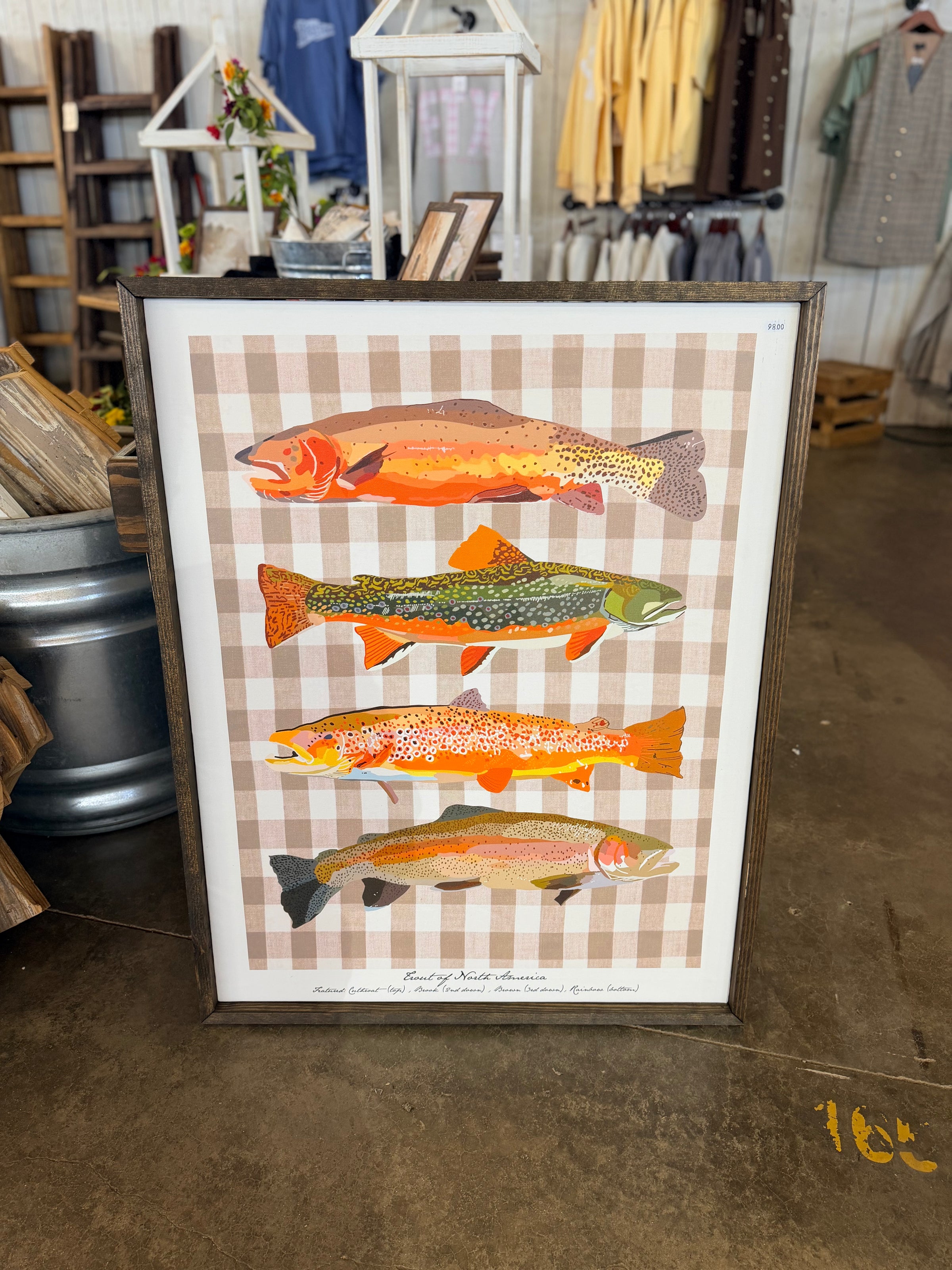Trout and Gingham